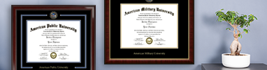 Diploma frames